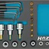 HAZET Steckschlüsselsatz TORX 12,5mm 1/2 Zoll 6,3mm 1/4 Zoll Außen TORX Innen TORX 24tlg 163-192/24